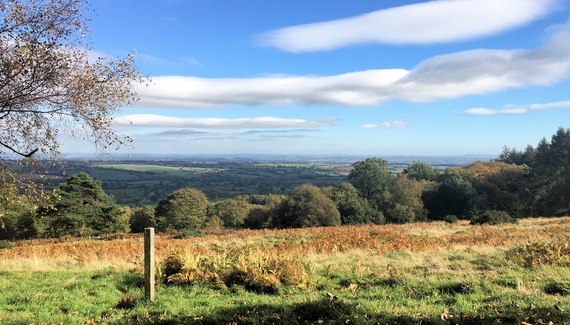 The Pheasant at Neenton - Gallery