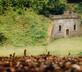 The Salwey Lodge - Gallery - picture 
