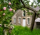 Holmwood Coach House - gallery - picture 