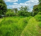 Holmwood Coach House - gallery - picture 