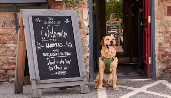 The Langford Inn - Gallery