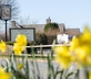 The Litton - Gallery - picture 