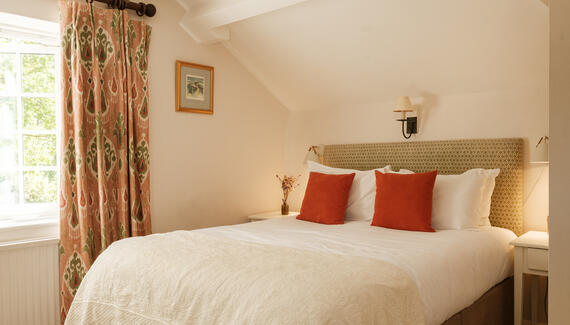 The Queen's Arms - Gallery