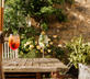 The Queen's Arms - Gallery - picture 