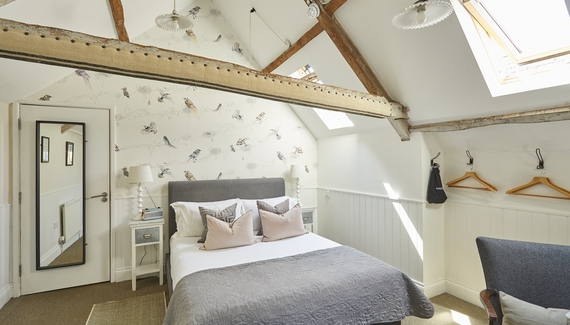 The Swan - Gallery