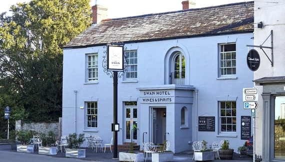 The Swan - Gallery