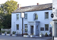 The Swan