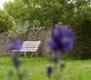 Trinity Cottage - Gallery - picture 