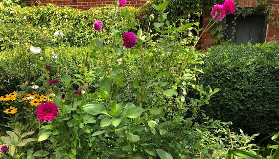 Crown House B&B - Gallery