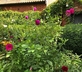 Crown House B&B - Gallery - picture 
