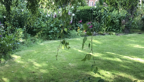 Crown House B&B - Gallery