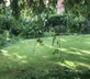 Crown House B&B - Gallery - picture 