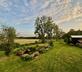 The Chatterbox - Gallery - picture 