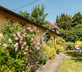 The Granary, Moat Farm - Gallery - picture 