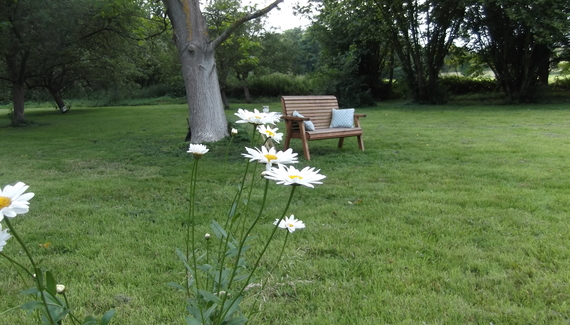 Willow Tree Cottage - Gallery