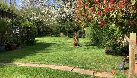 Willow Tree Cottage - Gallery
