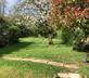 Willow Tree Cottage - Gallery - picture 