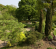 Blackbrook House - Gallery - picture 