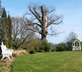 Blackbrook House - Gallery - picture 