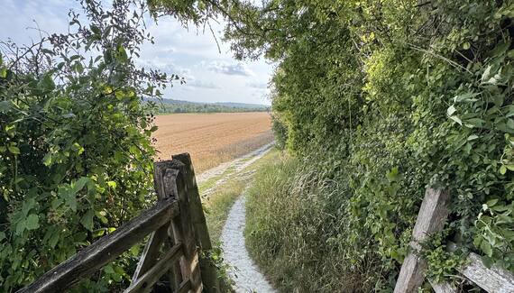 Botley Hill Farmhouse - Gallery