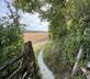 Botley Hill Farmhouse - Gallery - picture 