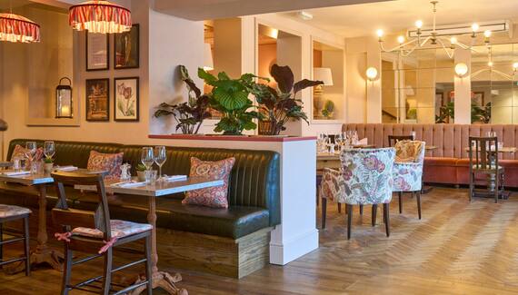 The White Horse - Gallery