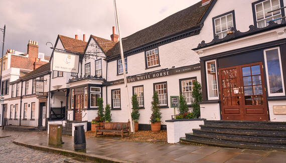 The White Horse - Gallery