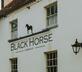 The Black Horse - Gallery - picture 