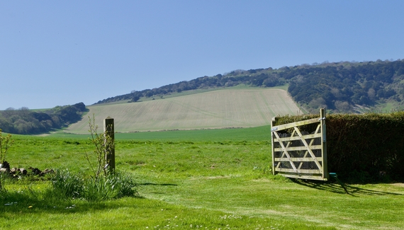 Crows Hall Farm - Gallery