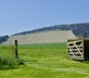 Crows Hall Farm - Gallery - picture 