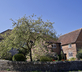 Crows Hall Farm - Gallery - picture 