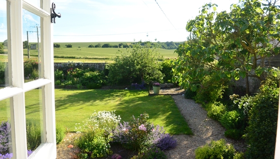 Crows Hall Farm - Gallery
