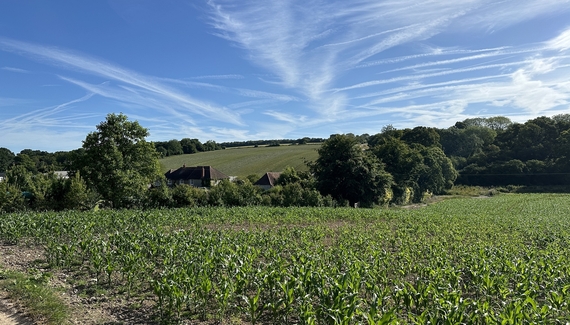 Crows Hall Farm - Gallery