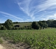 Crows Hall Farm - Gallery - picture 