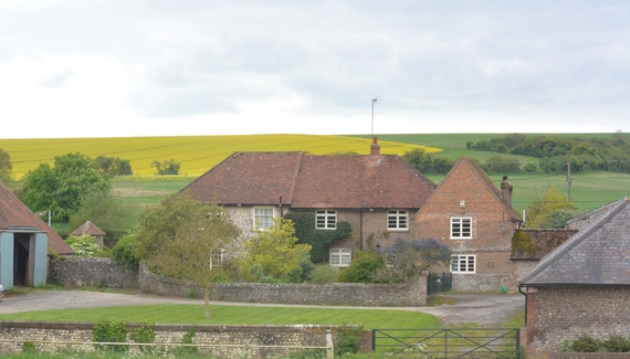 Crows Hall Farm - Gallery