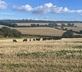 Crows Hall Farm - Gallery - picture 