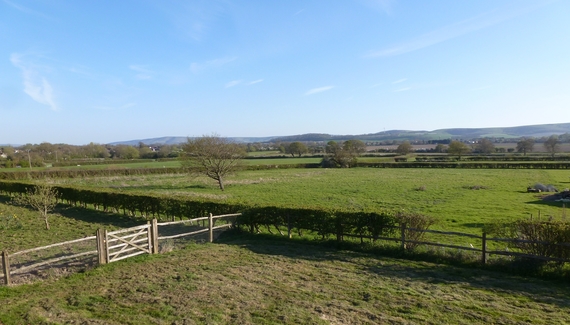 The Milking Parlour - Gallery