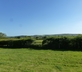 The Milking Parlour - Gallery - picture 