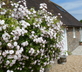 The Milking Parlour - Gallery - picture 