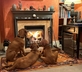 Oaklands Farm - Gallery - picture 