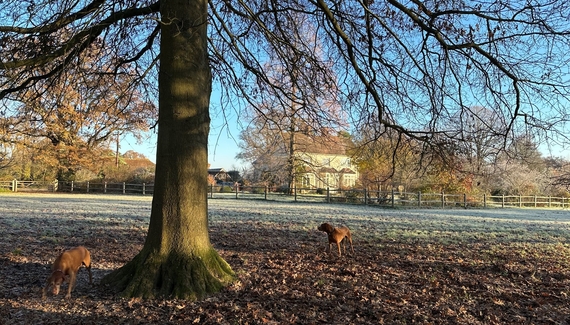 Oaklands Farm - Gallery