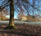 Oaklands Farm - Gallery - picture 