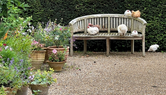 Oaklands Farm - Gallery