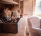 The Byre - Gallery - picture 