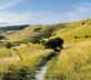 The Byre - Gallery - picture 