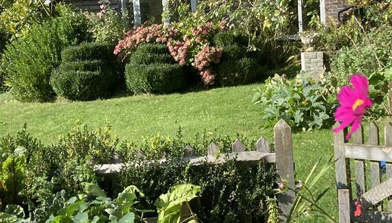 The Cottage in the Garden - gallery