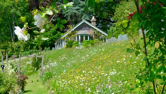 The Cottage in the Garden - gallery