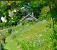 The Cottage in the Garden - gallery - picture 