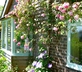 The Cottage in the Garden - gallery - picture 