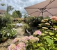 The Courtyard - Gallery - picture 